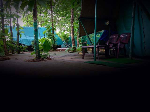 Ratapani Jungle Lodge, Sehore 2